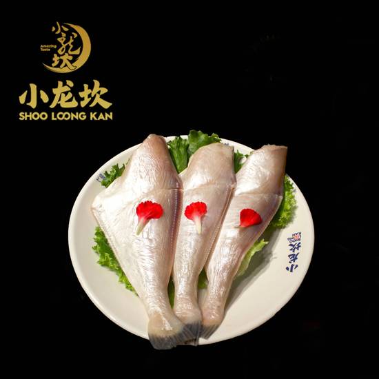 Trigger Fish 极品耗⼉鱼